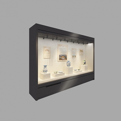 Wall Metal Museum Display Showcase
