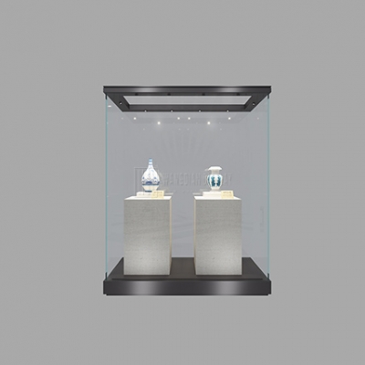 Glass Museum Quality Art Display Showcase